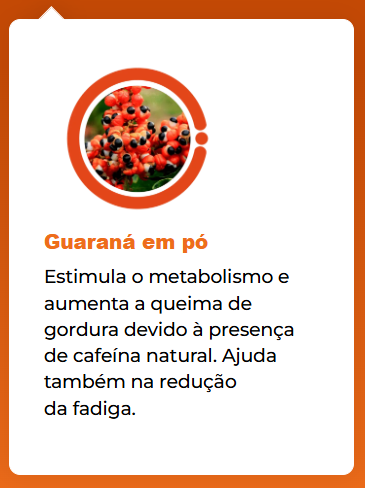 Guarana em pó